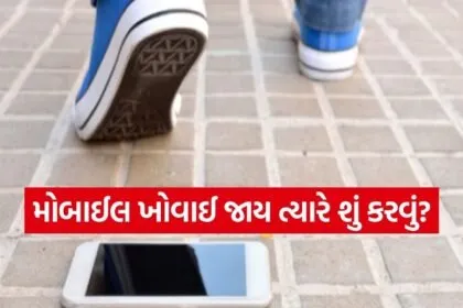 Phone lost safety steps