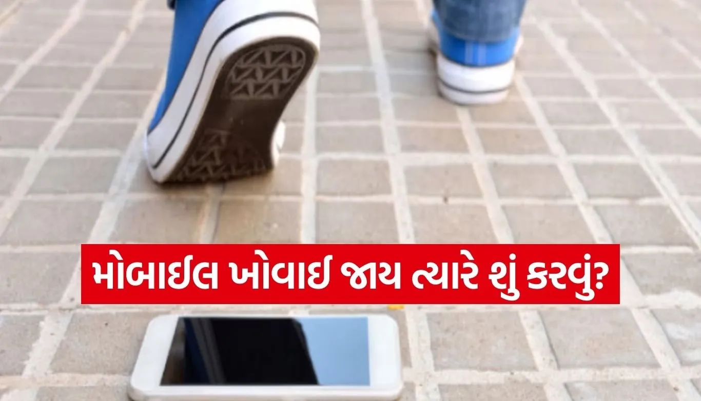 Phone lost safety steps