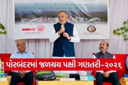 Porbandar Water Bird Census 2026 1