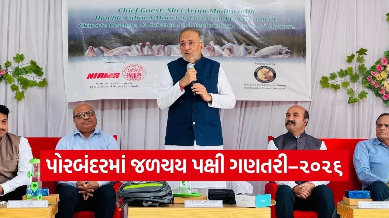 Porbandar Water Bird Census 2026 1.jpg