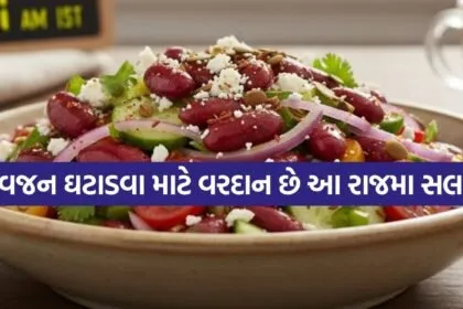 Rajma Salad