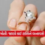 INDIA 1 2026 02 04T063945.777