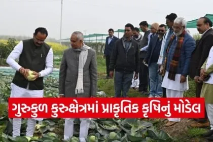 Gurukul Kurukshetra Natural Farming Model Gujarat Delegation 1