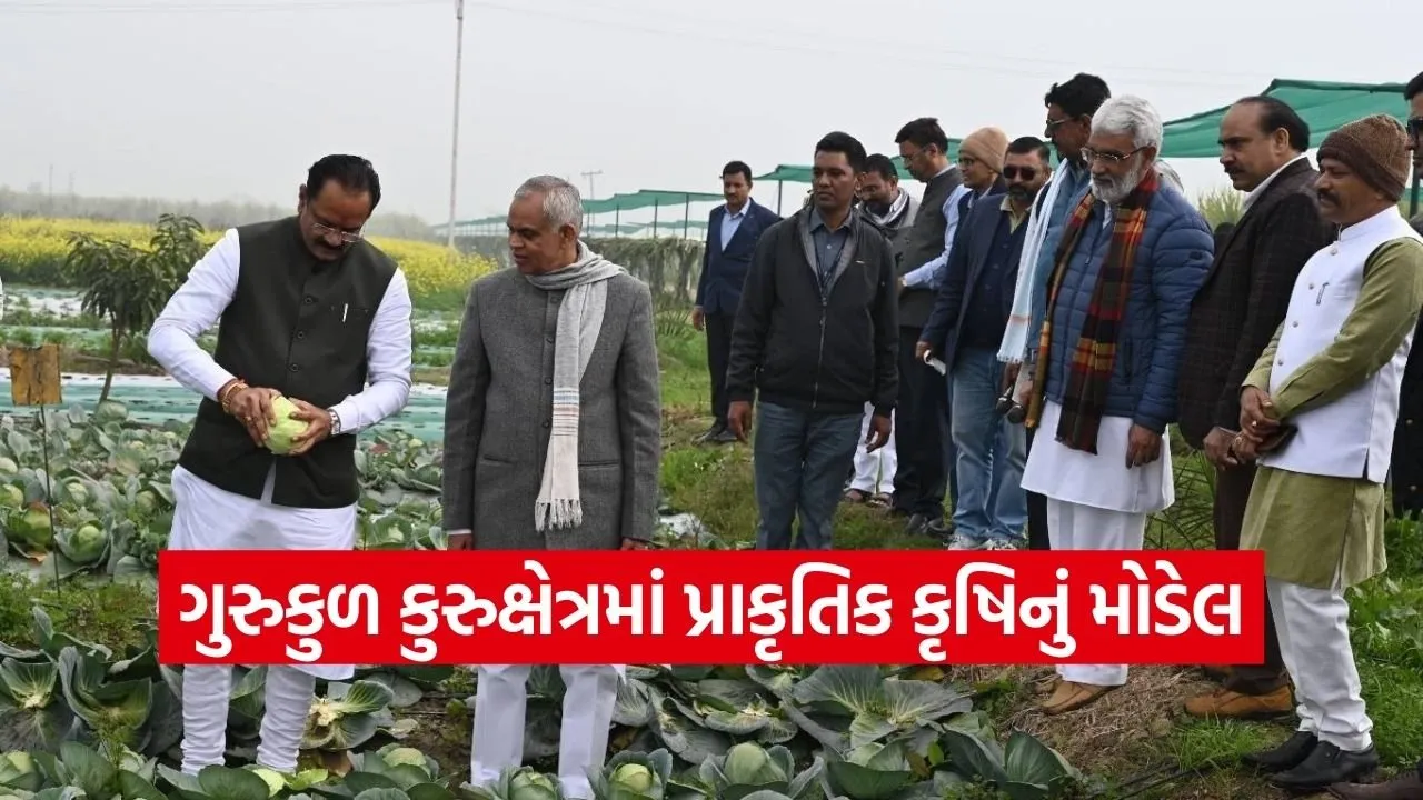 Gurukul Kurukshetra Natural Farming Model Gujarat Delegation 1.jpg