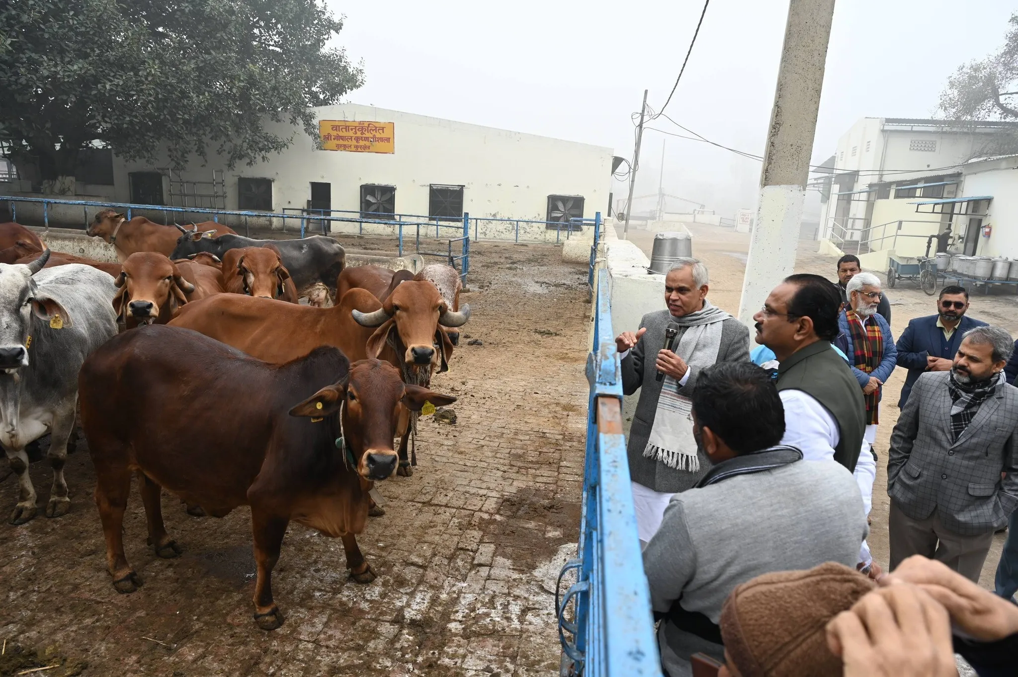 હરિયાણાની જમીનમાં પ્રાકૃતિક કૃષિની અનોખી સિદ્ધિ: ગુજરાતના કૃષિ મંત્રી જીતુભાઈ વાઘાણી સહિતના પ્રતિનિધિ મંડળની ગુરુકુળ કુરુક્ષેત્ર મુલાકાત 3 Gurukul Kurukshetra Natural Farming Model Gujarat Delegation 1.png