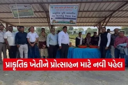 sabarkantha natural farming produce sale center