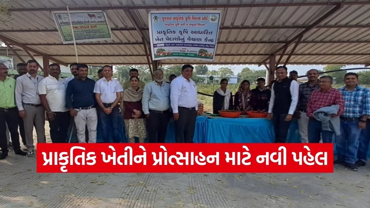 sabarkantha natural farming produce sale center.jpg