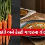 carrot chilla