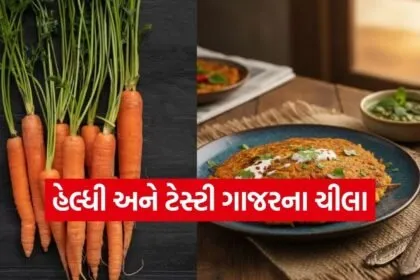 carrot chilla
