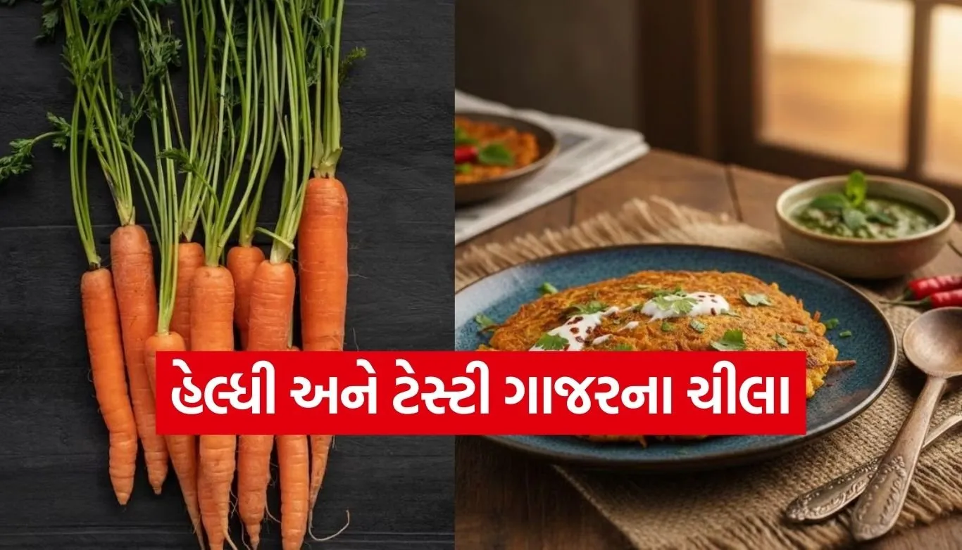 carrot chilla