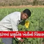 dang natural farming success story 1