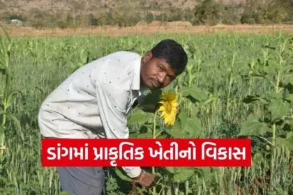 dang natural farming success story 1