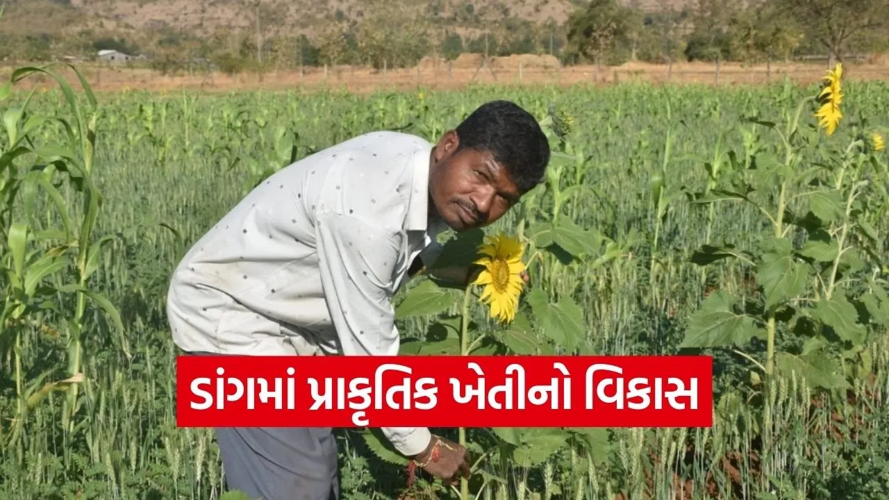 dang natural farming success story 1.jpg