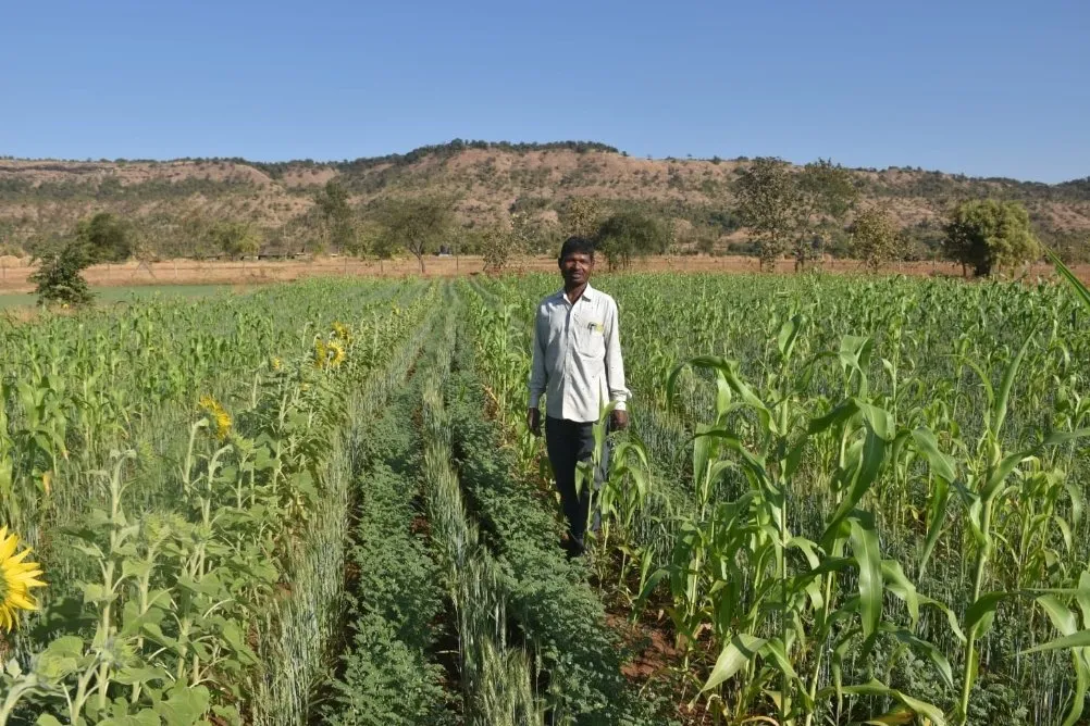 ડાંગમાં પ્રાકૃતિક ખેતીનો નવો ઉજાસ: બિબુપાડાના ખેડૂત ગમનભાઈ ઠાકરે બન્યા અન્ય ખેડૂતો માટે પ્રેરણાસ્ત્રોત 3 dang natural farming success story 2.jpeg