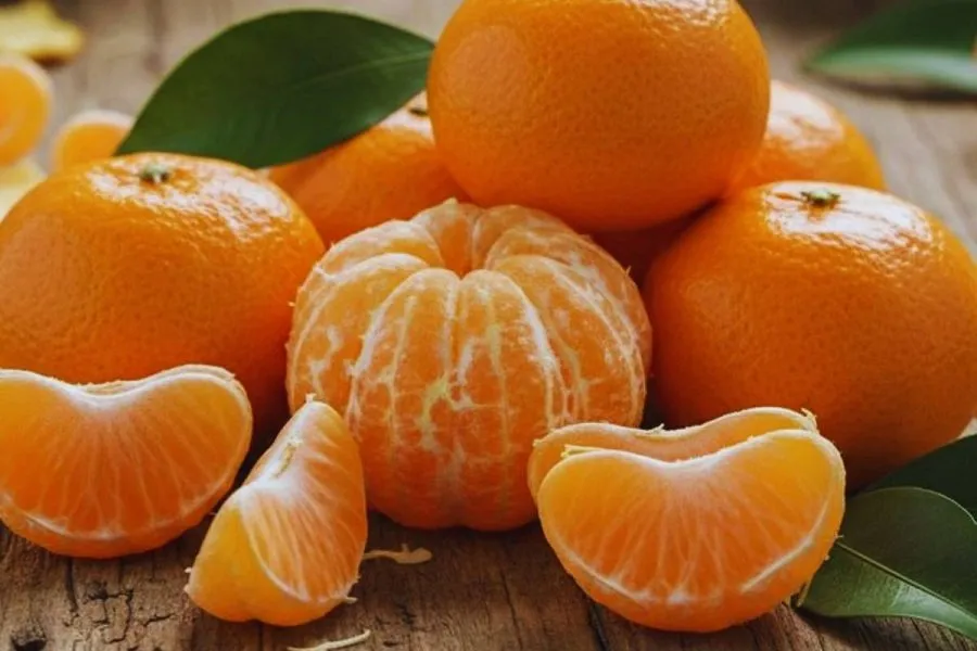 શું સુગરના દર્દીઓ સંતરા ખાઈ શકે? 3 Orange Jam