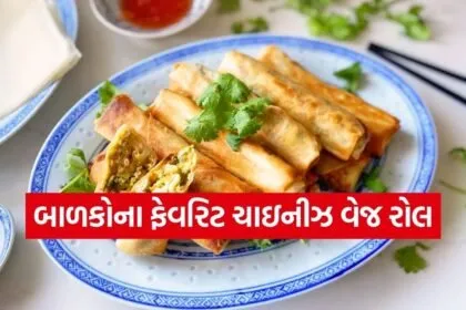 Chinese Veg Roll