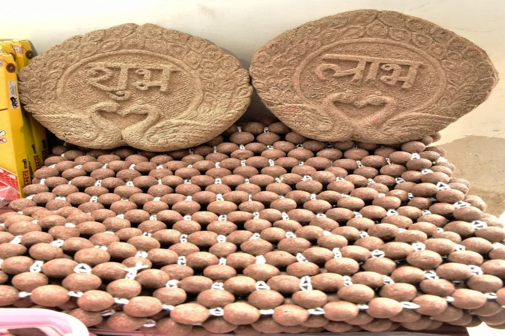 ગોબર, ગૌમૂત્ર અને પ્રાકૃતિક ખેતીનો સંગમ, ડભોઈના પ્રગતિશીલ ખેડૂતની પ્રેરણાદાયી સફળતા કથા 2 dabhoi cow based products success 2.jpeg