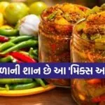 Mixed pickle