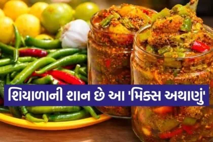 Mixed pickle