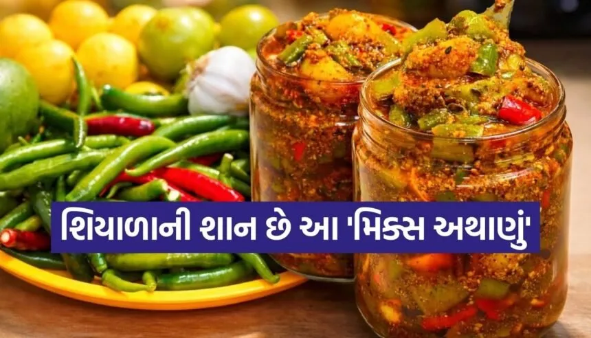 Mixed pickle