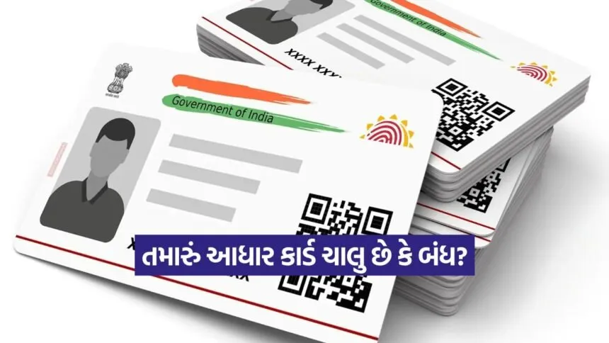 INDIA 1 2026 02 05T103730.909