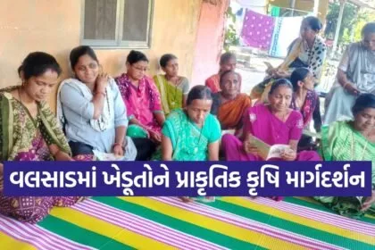 Dharmishtha 20260205 192344 0000