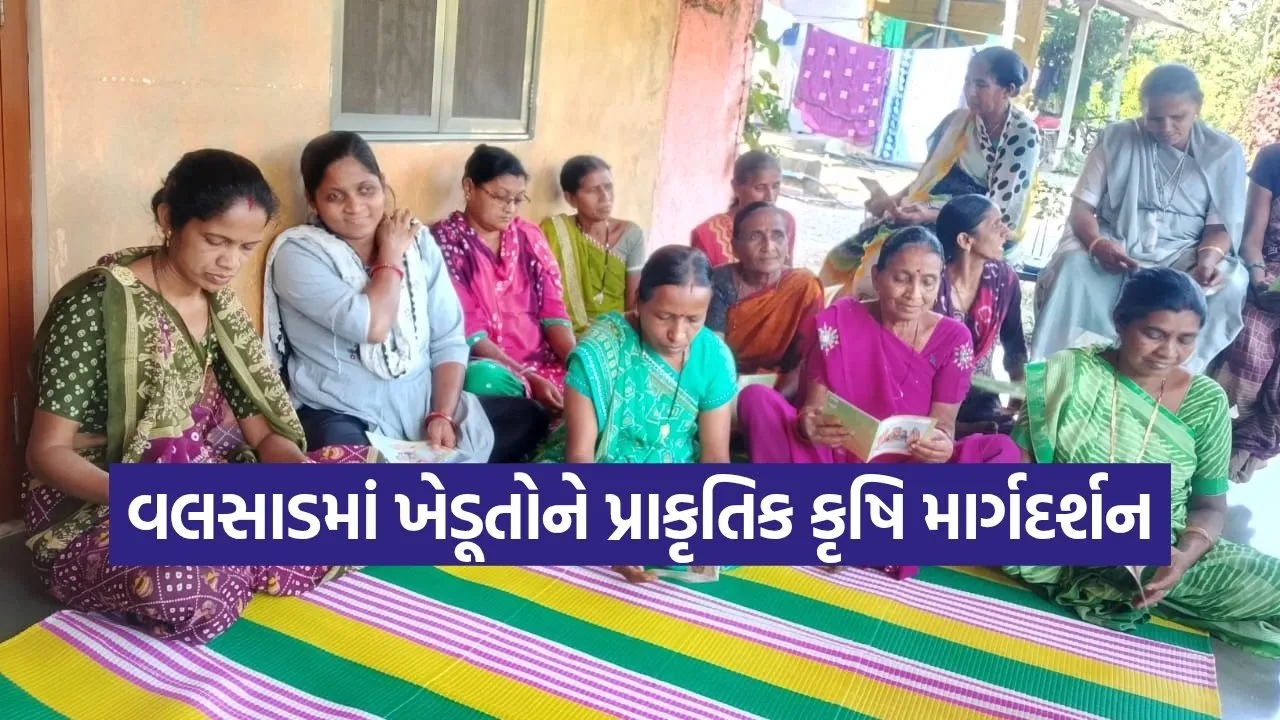 Dharmishtha 20260205 192344 0000.jpg
