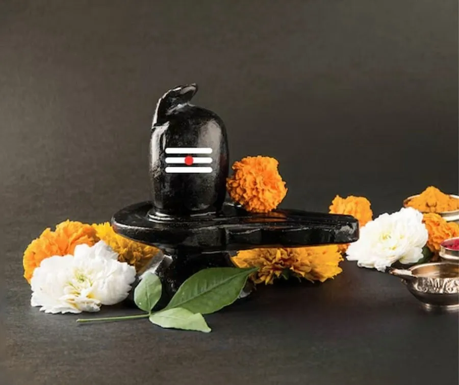 મહાશિવરાત્રી 2026 - નટરાજનું બ્રહ્માંડ નૃત્ય: કોસ્મિક ડાન્સ પાછળના પૌરાણિક રહસ્યોનો ખુલાસો 3 Mahashivratri 2026
