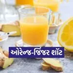 Dharmishtha 2026 02 07T153137.459