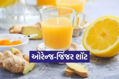 Dharmishtha 2026 02 07T153137.459