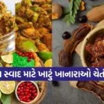 Dharmishtha 2026 02 07T154108.425