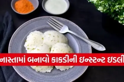 Cucumber idli recipe