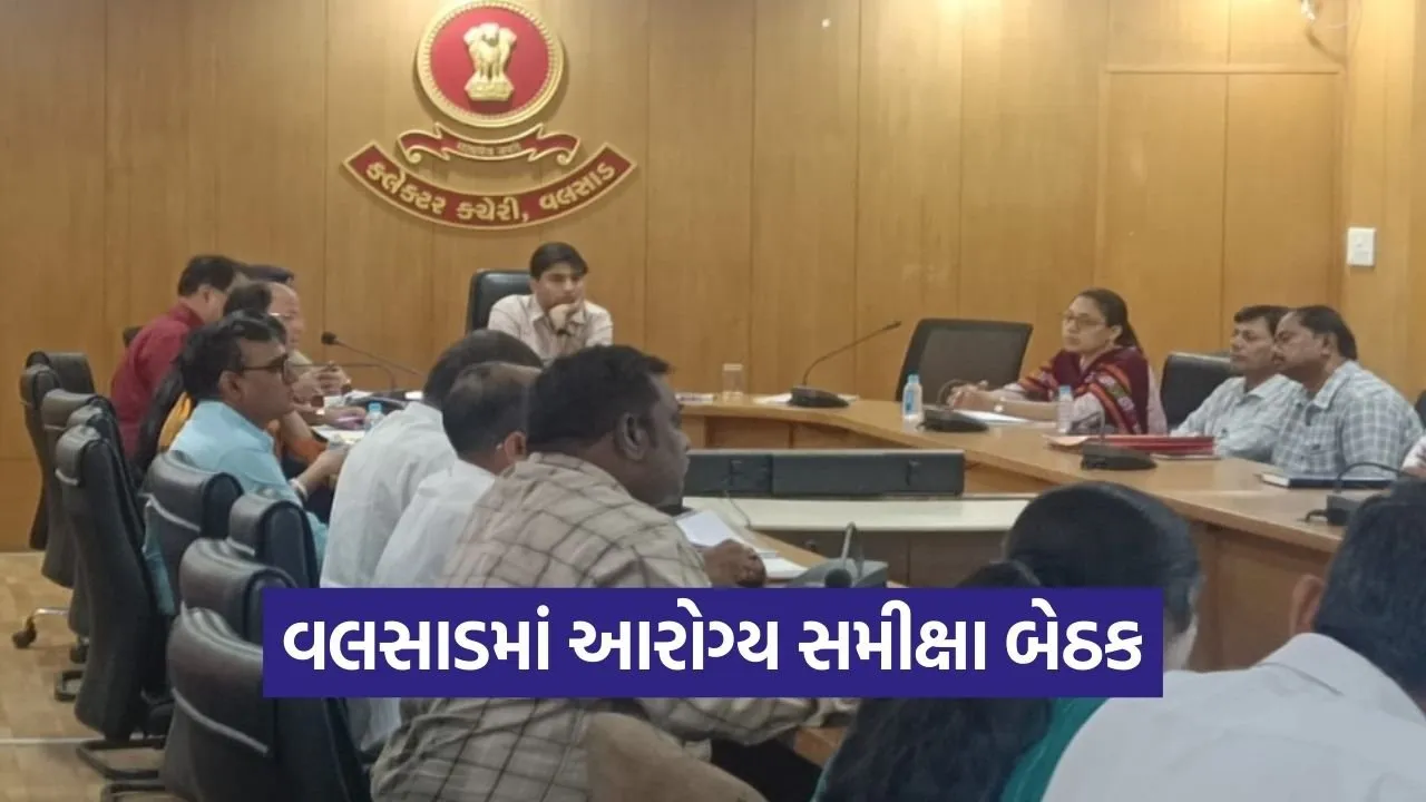 Valsad District Health Review Meeting.jpg