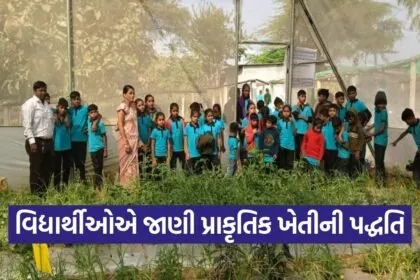 Dahod Natural Farming Model Farm 1