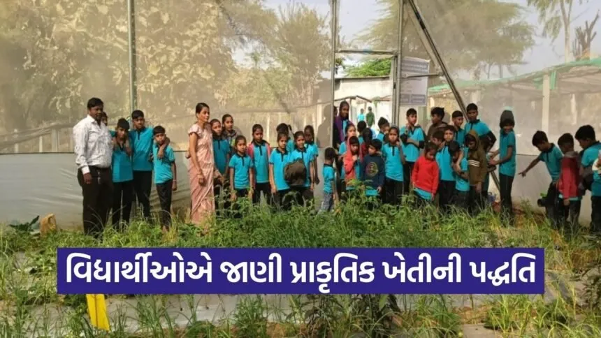 Dahod Natural Farming Model Farm 1
