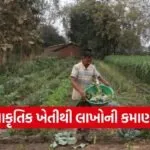 Chhota Udepur Natural Farming Success