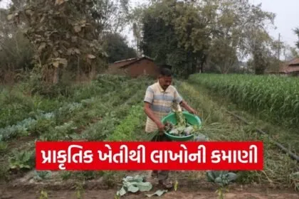 Chhota Udepur Natural Farming Success