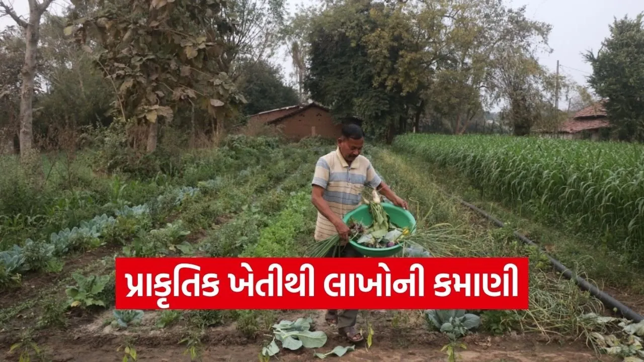 Chhota Udepur Natural Farming Success.jpg