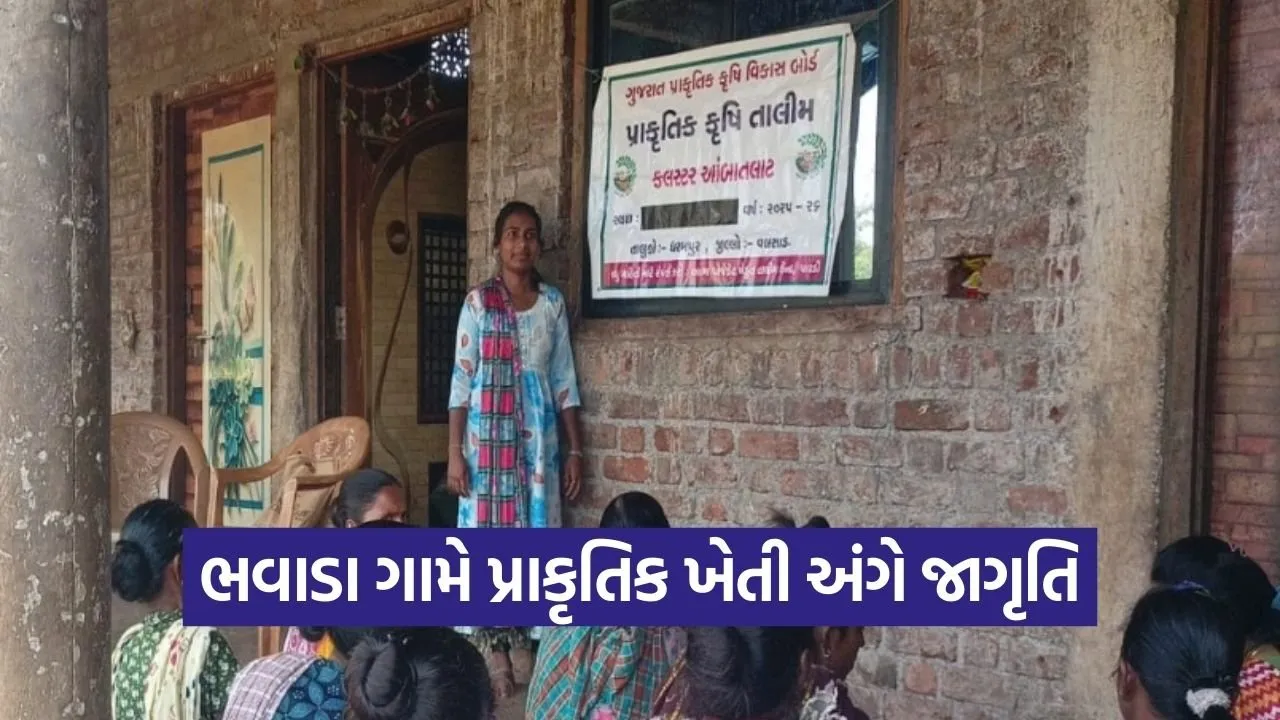 Bhavada Natural Farming ATMA Project Kaprada.jpg