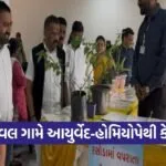 Chival Village AYUSH Ayurveda Homeopathy Camp Valsad