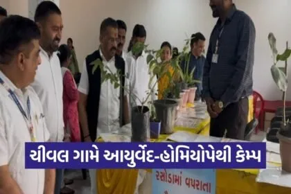 Chival Village AYUSH Ayurveda Homeopathy Camp Valsad
