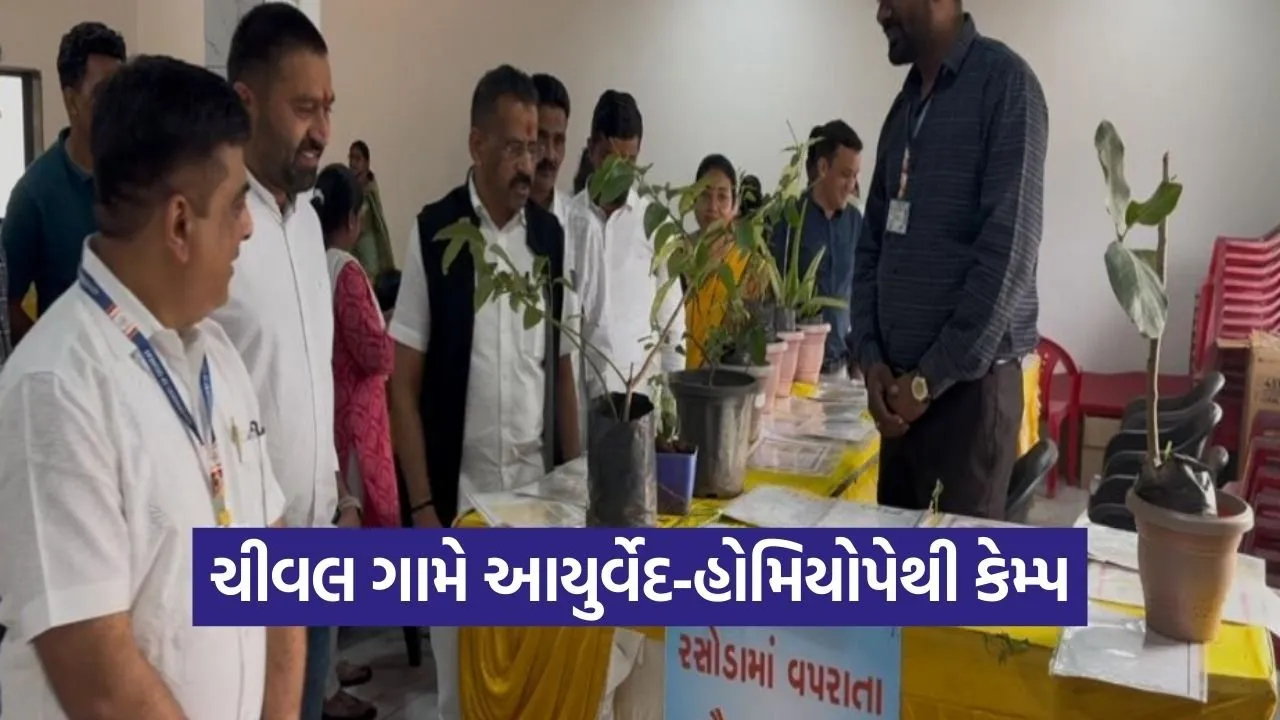Chival Village AYUSH Ayurveda Homeopathy Camp Valsad.jpg