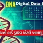 DNA 0802