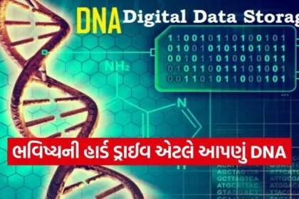 DNA 0802
