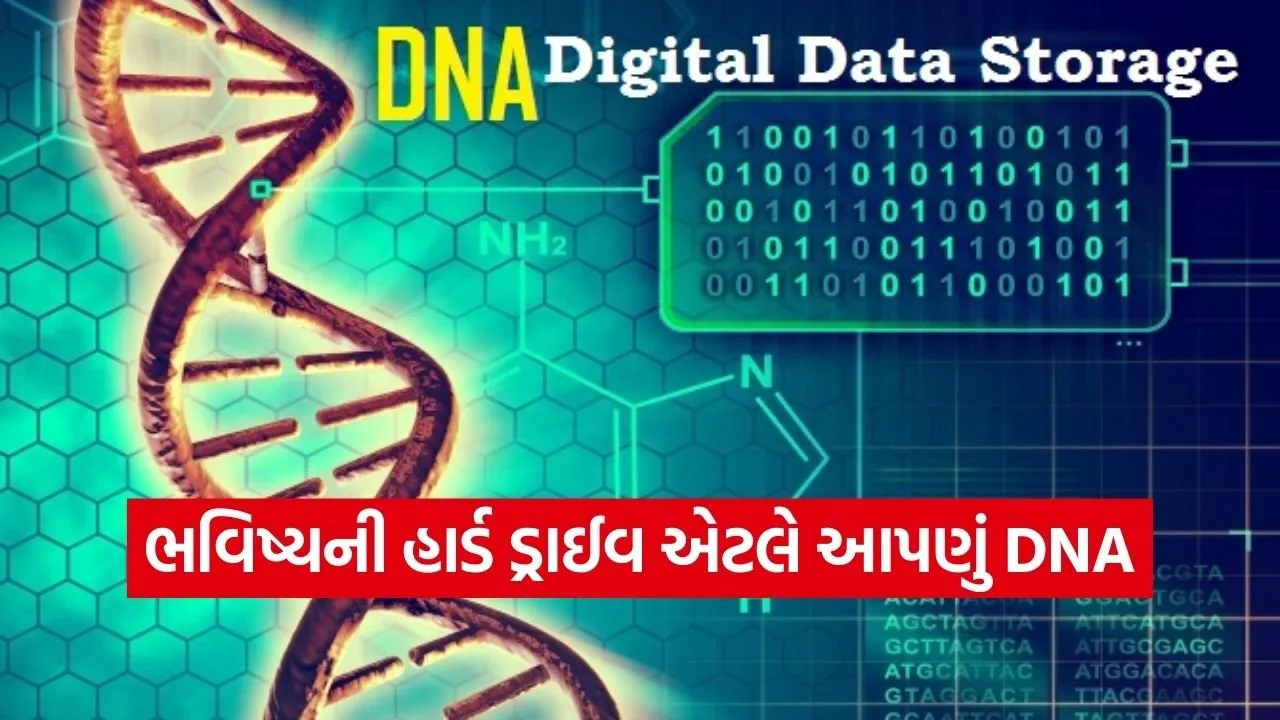 DNA 0802.jpg