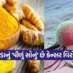 turmeric 0902