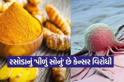 turmeric 0902