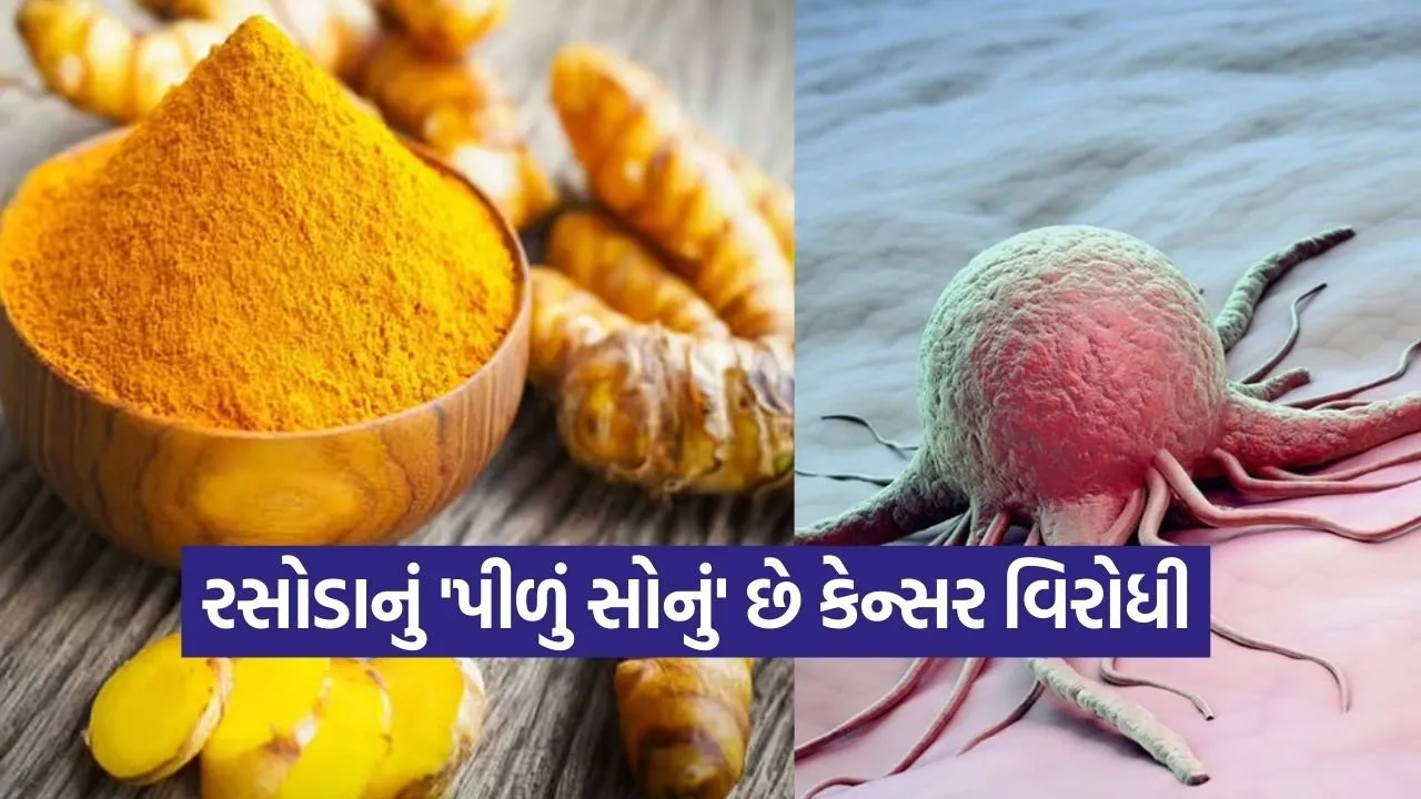 turmeric 0902.jpg