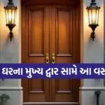 Main Door Vastu Tips