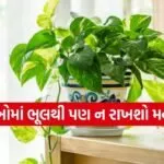 Vastu for Home Plants